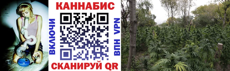 ГАШ Дорогобуж