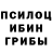 Галлюциногенные грибы мухоморы KOTYK ZADROTYK