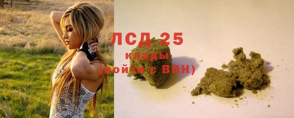 дживик Аркадак